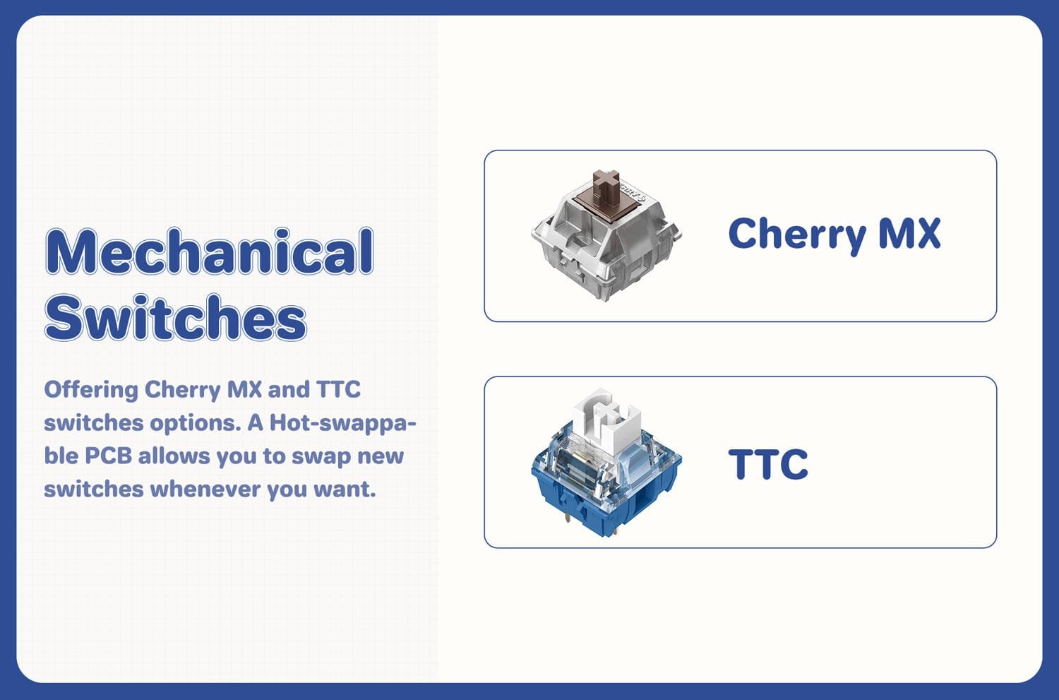 Cherry And TTC Mechanical Switch Keyboard